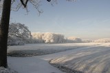 Linschoten. 19.jpg